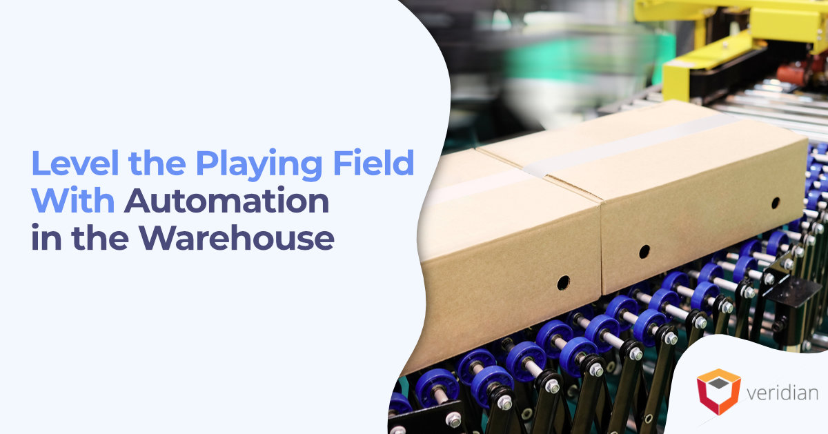 automation in the warehouse automation in the warehouse